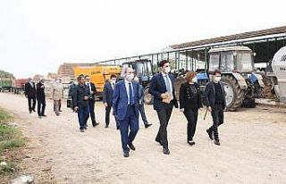Azerbaycan Agrar Sigorta Fonu ilk poliçesini düzenledi