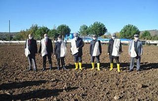 Bafra’da yerli atalık tohum toprakla buluştu