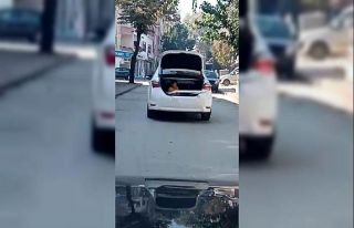 Bagajdaki çocuğu görenler şok oldu
