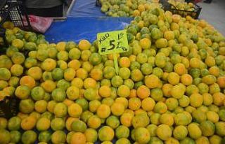 Bağışıklık sistemini güçlendiren mandalina...