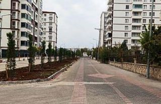 Bağlar’da caddeler yeni refüj çalışmalarıyla...