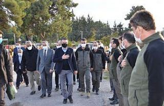 Bakan Pakdemirli Mersin’de incelemelerde bulundu