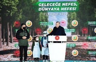 Bakan Pakdemirli: "Orman varlığımızı 20,8...