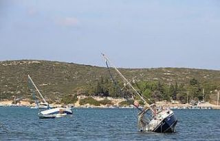 Bakan Pekcan: "Esnafımızın borçlarını 1...