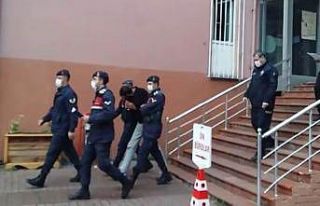 Bartın’da hayvan hırsızlığı: 1 kişi tutuklandı