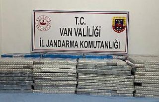 Başkale’de 33 bin 830 tablet kaçak ilaç ele geçirildi