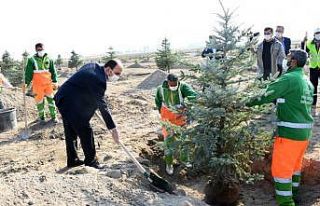 Başkan Altay: "Milli Ağaçlandırma Günü...