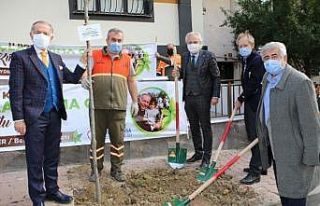 Başkan Aydıner daha yeşil bir çevre için ağaç...