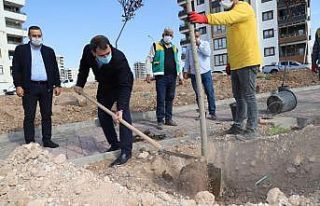 Başkan Baydilli park çalışmalarını inceledi
