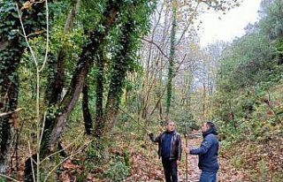 Başkan Erdoğan, trekking yolunu inceledi