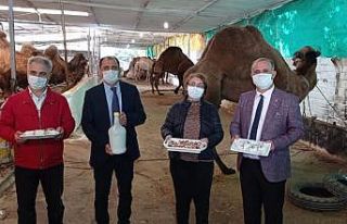 Başkan Kaya, deve sütü ürünlerini tanıttı