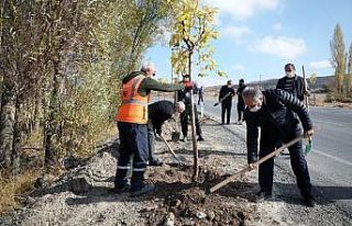 Başkan Yalçın: “Bugüne kadar 70 bin ağaç diktik”