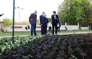 Battalgazi’ye 25 bin kök süs bitkisi dikiliyor