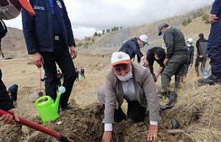 Bayat’ta fidan dikimi