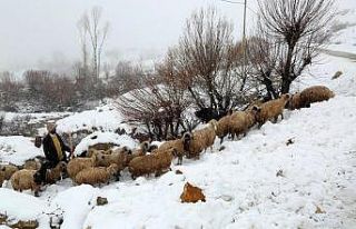 Bayburt’un yüksek kesimlerine kar yağdı