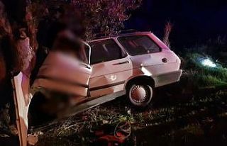 Bekçi kazada yaşamını yitirdi