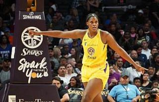 Bellona Kayseri’ye 2 metrelik basketbolcu