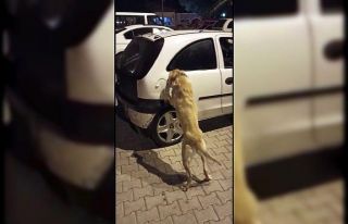 Benzin kapağının arkasına saklanan uyuşturucuyu...