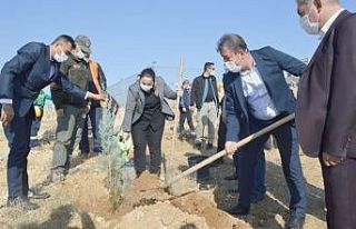 Besni’de fidan dikimi gerçekleştirildi