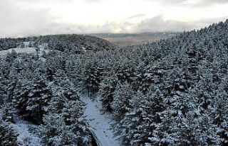 Beyaza bürünen Dumanlı Tabiat Parkı, görsel şölen...