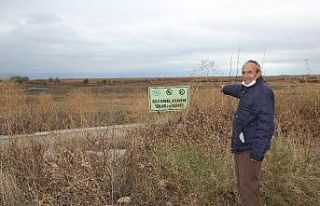 Beyşehir Gölü kıyılarında sular çekildi