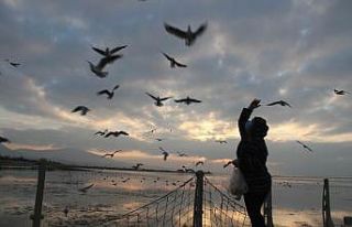 Beyşehir Gölü kuş cennetine döndü