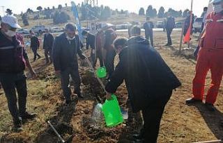 Beyşehir’de ağaçlandırma seferberliği