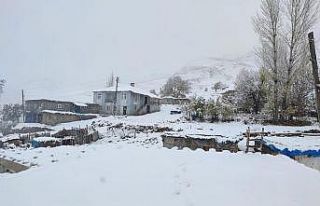 Beytüşşebap beyaza büründü