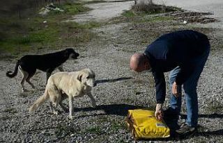 Bilecik’te sokak hayvanları unutulmadı
