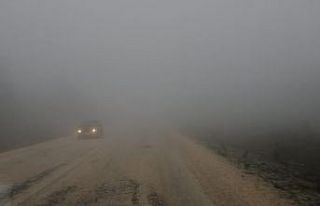 Bilecik’te yoğun sis etkili oldu