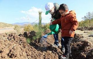 Bingöl’de 4 hektar alana 6 bin 500 fidan dikildi