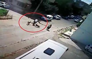 Bisiklet sürerken köpeklerin saldırısına uğrayan...