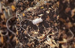 Bitlis kırsalında terör örgütünce tuzaklanmış...