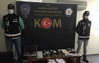 Bodrum’u haraca bağlayan çete yakalandı