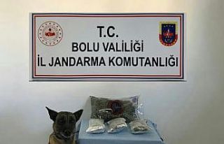 Bolu’da 1 kilo esrarla yakalanan şahıs tutuklandı