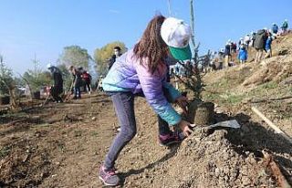 Bolu’da 9 bin fidan toprakla buluşturuldu