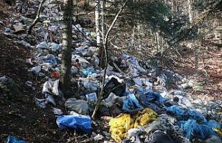 Bolu’da ormanlara atılan çöpler doğal hayatı...