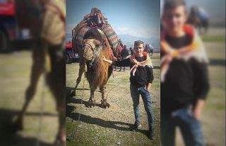 Bozdoğan’da trafik kazası: 1 ölü