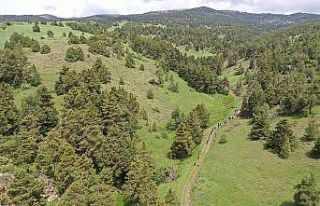 Bu adımlar saklı kalmış güzelliklere atılıyor