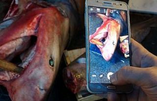 Bu balığı gören dönüp bir daha baktı, fotoğraf...