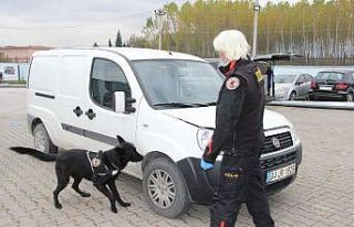 Bu güne kadar yarım ton uyuşturucu yakaladı