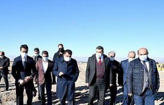 Buğday pazarı için saha çalışmaları başladı