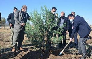 Bulanık’ta fidan dikimi