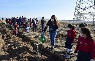 Burdur genelinde 15 bin fidan dikilecek