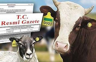 Büyükbaş ve küçükbaş hayvancılık için yönetmelik...