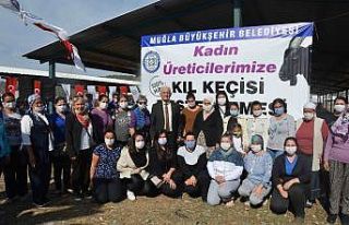 Büyükşehir Ortaca’da kıl keçisi dağıttı