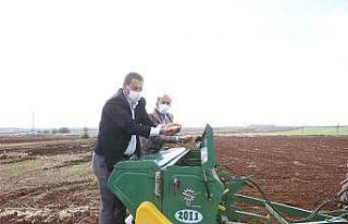 Büyükşehir sertifikalı tohum üretimine devam...