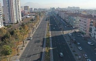 Büyükşehir’den ağaçlara ‘kış’ bakımı