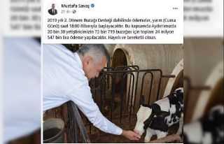 Buzağı destek ödemeleri yarın başlıyor