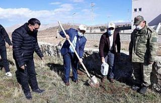 Çaldıran’da bin 500 fidan toprakla buluşturuldu